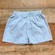 No Brand Light Blue Gingham Shorts- Size 3T Online Sale