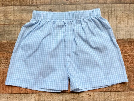 No Brand Light Blue Gingham Shorts- Size 3T Online Sale