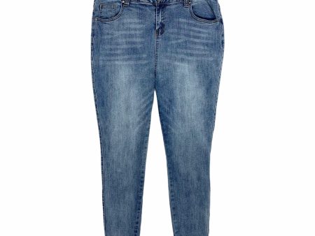 Amaryllis Light Wash Embroidered Raw Hem Jeans- Size 12 (Inseam 25.5 ) For Sale